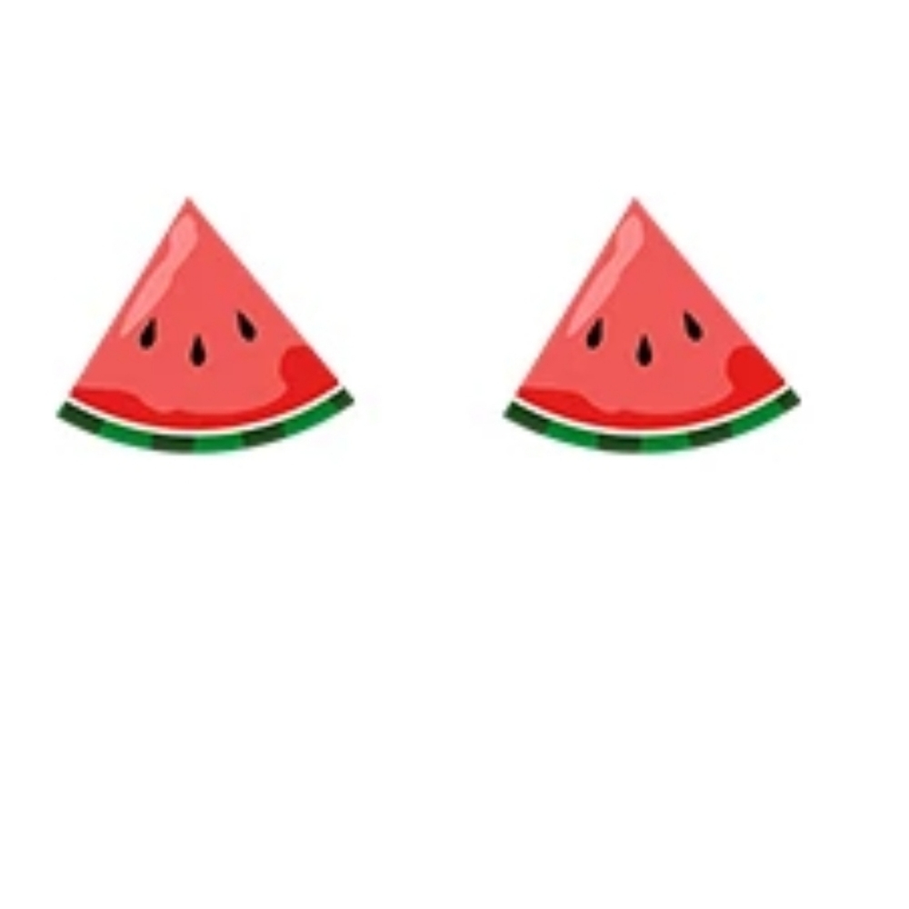 3/$20 NEW Shrinky Dink Watermelon Stud Earrings